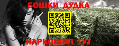 СК Канаш