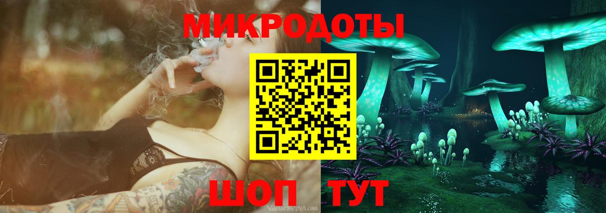 Котельники  Псилоцибиновые грибы Cubensis  Вход с VPN 
